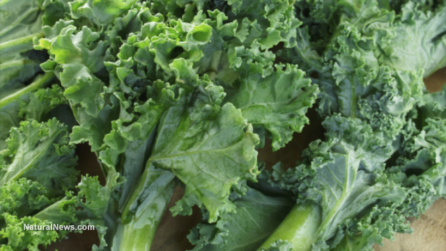Kale-Vegetable-Greens-Leaves