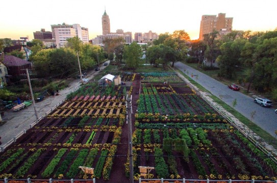 Michigan-Urban-Farming-Initiative-Garden-1020x610
